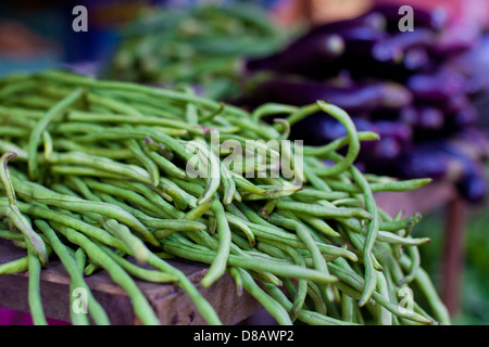 Sparrow erba sul mercato asiatico Foto Stock