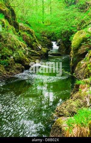 Cascata su East Lyn fiume nel Parco Nazionale di Exmoor vicino a Rockford, Devon, Inghilterra. Foto Stock