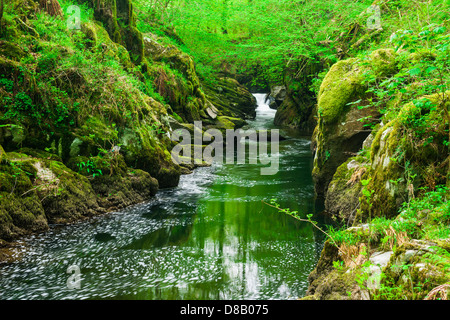 Cascata su East Lyn fiume nel Parco Nazionale di Exmoor vicino a Rockford, Devon, Inghilterra. Foto Stock