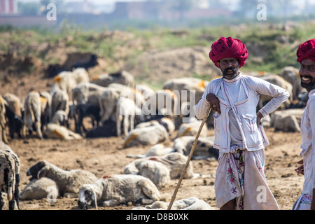 Rajput pastore, Rajasthan, India Foto Stock