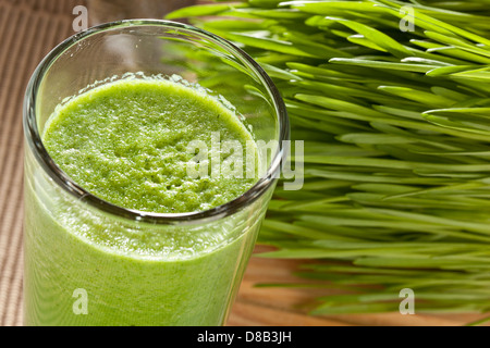 Organico verde erba di frumento Shot pronta da bere Foto Stock