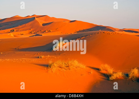 Sahara dune del deserto di Erg Chebbi, Marocco Foto Stock