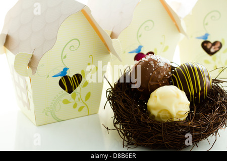 Miniatura dolce uccelli case favore scatole riempite con tartufi gourmet. Foto Stock