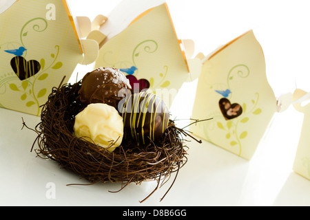 Miniatura dolce uccelli case favore scatole riempite con tartufi gourmet. Foto Stock