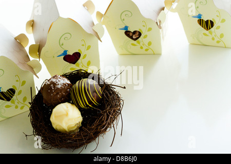 Miniatura dolce uccelli case favore scatole riempite con tartufi gourmet. Foto Stock