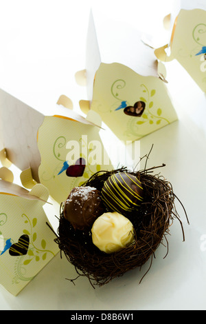 Miniatura dolce uccelli case favore scatole riempite con tartufi gourmet. Foto Stock