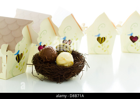 Miniatura dolce uccelli case favore scatole riempite con tartufi gourmet. Foto Stock