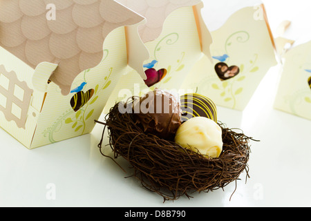 Miniatura dolce uccelli case favore scatole riempite con tartufi gourmet. Foto Stock