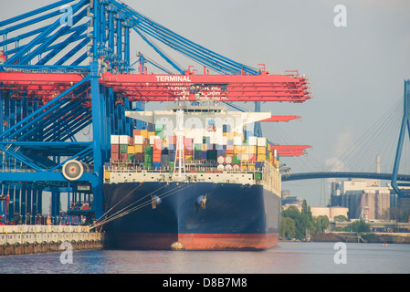 Una grande nave container viene caricato nel terminale di porta con contenitori Foto Stock