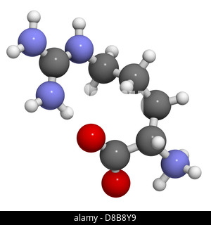 Arginina Arg (R) ammino acido, modello molecolare. Gli ammino acidi sono i blocchi di costruzione di tutte le proteine. Foto Stock