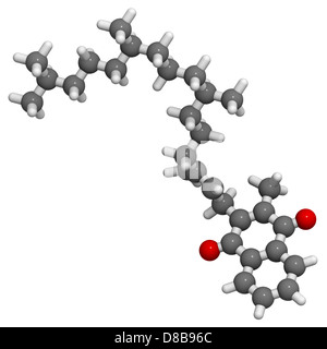 La vitamina K1 (phylloquinone), modello molecolare. Gli atomi sono rappresentati come sfere convenzionale con codifica a colori Foto Stock