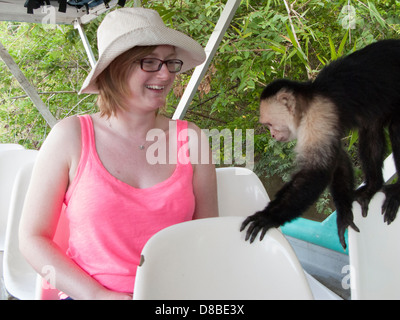 Una ragazza incontra un bianco con testa di scimmia cappuccino nel palo verde national park, Guanacaste in Costa Rica Foto Stock