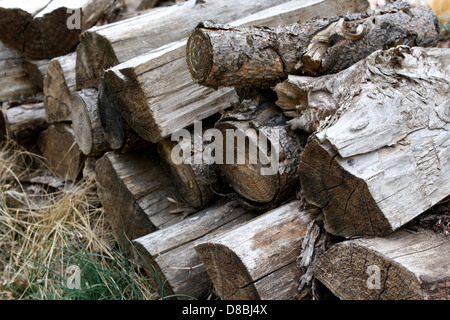 Questa immagine mostra una pila di legna da ardere ben impilata, generalmente utilizzata per riscaldare o cucinare. La legna da ardere è composta da tronchi e rami di varie dimensioni, spesso conservati in aree esterne per un facile accesso. Foto Stock