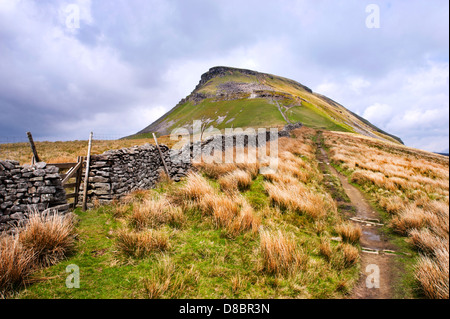 Pen-y-Ghent hill, su del The Pennine Way, vicino a Horton in Ribblesdale, North Yorkshire, Regno Unito Foto Stock