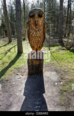 Scultura in legno di Tyto il vecchio saggio gufo, da Paul Catling, Haughmond Hill boschi vicino a Shrewsbury, Shropshire, Regno Unito. Foto Stock