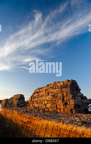 Scavarono torba, goldenstedt moor, Bassa Sassonia, Germania, Europa Foto Stock