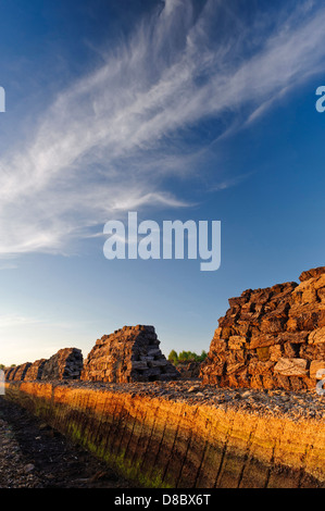 Scavarono torba, goldenstedt moor, Bassa Sassonia, Germania, Europa Foto Stock