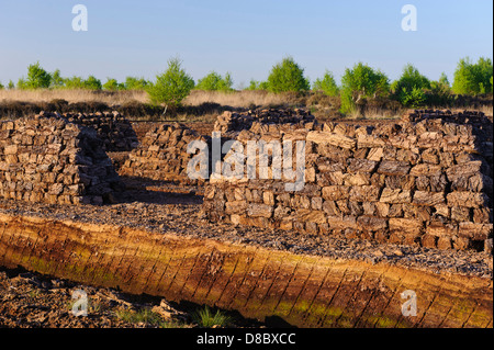 Scavarono torba, goldenstedt moor, Bassa Sassonia, Germania, Europa Foto Stock