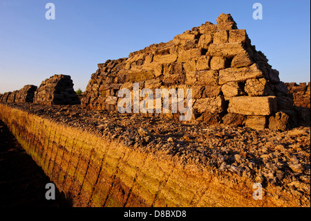 Scavarono torba, goldenstedt moor, Bassa Sassonia, Germania, Europa Foto Stock