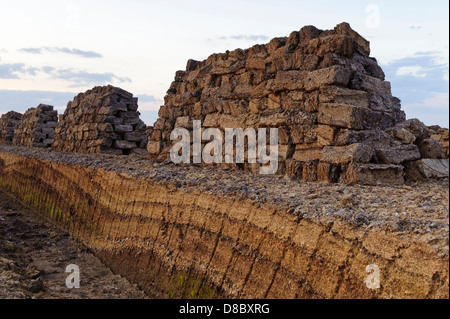 Scavarono torba, goldenstedt moor, Bassa Sassonia, Germania, Europa Foto Stock