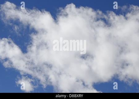 Un'immagine serena di nuvole bianche sparse su un cielo blu brillante. Le nuvole creano un contrasto con il blu vivace, rappresentando una tipica giornata di luce chiara e tranquilla in natura. Foto Stock