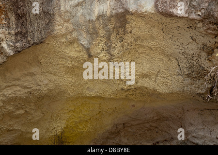 La Wai-O-Tapu zona termale è altamente attivo area geotermica con un sacco di crateri collassato, a caldo e a freddo per piscine di Nuova Zelanda Foto Stock