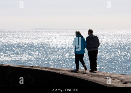 Il Cobb, Lyme Regis, Dorset, England, Regno Unito Foto Stock