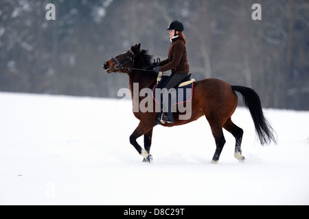 Pilota femmina con il suo cavallo, Alto Palatinato, Baviera, Germania, Europa Foto Stock