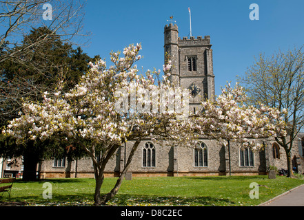 Santa Maria la Vergine Chiesa Parrocchiale, Axminster, Devon, Inghilterra, Regno Unito Foto Stock