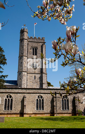 Santa Maria la Vergine Chiesa Parrocchiale, Axminster, Devon, Inghilterra, Regno Unito Foto Stock