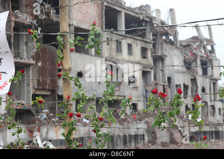 Savar, Dhaka, Bangladesh. Il 24 maggio 2013. Una famiglia bengalese membro di un indumento mancante operatore colloca le rose sul filo spinato come essi rende omaggio alle vittime presso il sito di aprile 2013 Edificio di nove piani crollo in Savar, nella periferia di Dhaka il 24 maggio 2013. Alcuni 290 corpi non identificati sono stati sepolti dopo i campioni di DNA sono stati raccolti in modo che corrispondano a quelli di parenti come l'esercito del Bangladesh avvolto nella sua ricerca Maggio 14, 2013 per gli organismi presso il sito del crollo dell'edificio. Disastri industriali dal novembre hanno ucciso almeno 1.250 lavoratori. Â©Monirul Alam (credito Immagine: © M Foto Stock