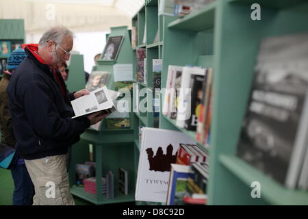 Hay Festival 2013, Wales, Regno Unito. Il 24 maggio 2013. Festival di fieno, POWYS, GALLES, 2013 24/05/13 navigando gli scaffali nel fieno bookshop. Viste generali del fieno fesitval letteraria 2013, POWYS, GALLES. Foto di: Ben Wyeth/Alamy Live News Foto Stock