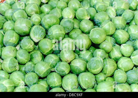 Deliziosi piatti sani e freschi green i cavoletti di Bruxelles pronta a cucinare per la vendita su un mercato in stallo Salisbury Wilts REGNO UNITO Foto Stock