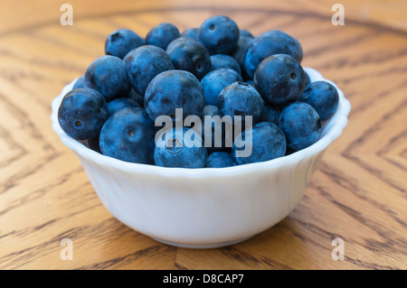 Appena raccolti maturi i mirtilli in una ciotola Foto Stock