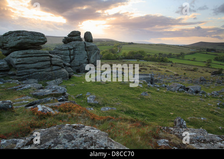 Vista serale dal hound verso Hayne giù, Dartmoor, England, Regno Unito Foto Stock
