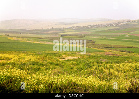 Bassa Galilea della regione, vicino a Tiberiade, Israele, Medio Oriente Foto Stock