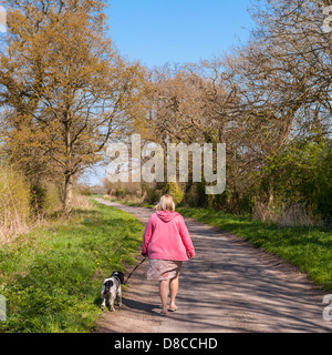 Una donna passeggiate con il cane lungo una strada di campagna in Sotterley , Suffolk , Inghilterra , Inghilterra , Regno Unito Foto Stock