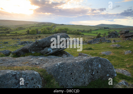 Vista serale dal hound verso Hayne giù, Dartmoor, England, Regno Unito Foto Stock