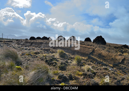 Irish Bog Sphagnum moss rilascia composti che preservare il tessuto umano, come il muschio decade, diventa la torba che può essere bruciato. Foto Stock