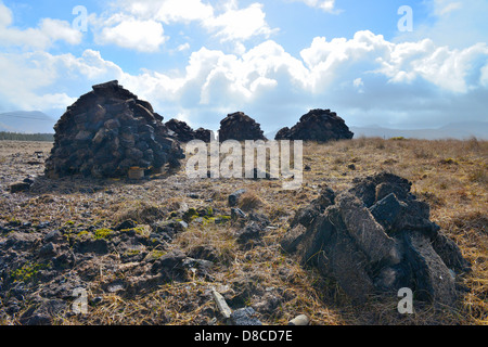 Irish Bog Sphagnum moss rilascia composti che preservare il tessuto umano, come il muschio decade, diventa la torba che può essere bruciato. Foto Stock