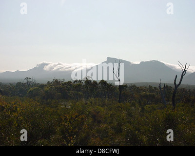 Questa immagine cattura Bluff Knoll nelle Stirling Ranges dell'Australia Occidentale, coperta da una coperta di nuvole. Bluff Knoll è una delle vette più alte della regione, conosciuta per il suo paesaggio suggestivo e la variegata flora. La copertura delle nuvole aggiunge un effetto drammatico, migliorando la bellezza naturale della montagna e il terreno accidentato. Foto Stock