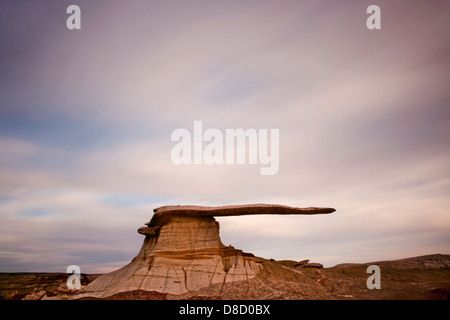 Il re delle ali, San Juan Bandlands del New Mexico Foto Stock