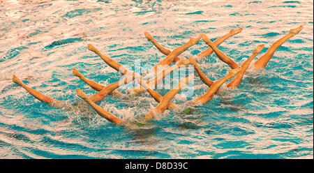 25.05.2013 Savona, Italia. Il team dell'Ucraina durante il Team libero preliminari di routine a livello europeo di nuoto sincronizzato Champions Cup dalla piscina comunale Carlo Zanelli. Foto Stock