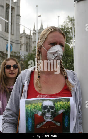 Londra, Regno Unito. 25 Maggio, 2013. I manifestanti in una dimostrazione contro la Monsanto la produzione di alimenti geneticamente modificati al di fuori sulla piazza del Parlamento Credito: Mario Mitsis / Alamy Live News Foto Stock