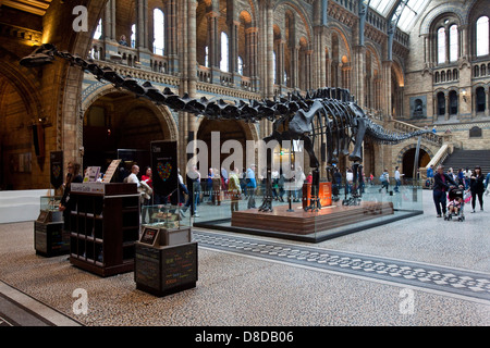 Il Museo di Storia Naturale di Londra, Inghilterra Foto Stock