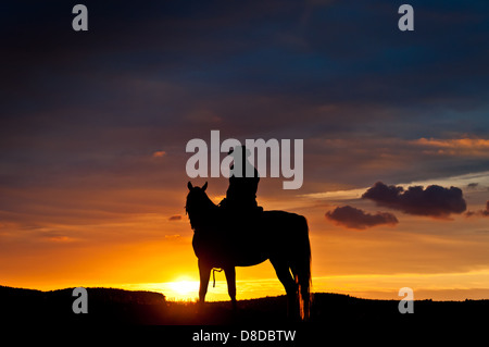 Cowboy silhouette unica sera sunset in piedi con la sua quarter horse attraverso Prato nel suo paese il tramonto in background Foto Stock