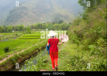 Sapa regione nel Nord Vietnam - Donna che cammina nel campo di riso Foto Stock