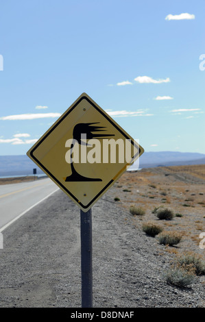 I venti forti in Patagonia. Un segno di avvertimento del vento sulla strada per El Chalten. El Chalten, Argentina. 01Mar13 Foto Stock