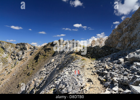 Il sentiero sulla cresta della montagna di San Pellegrino valley, Trentino, Italia Foto Stock