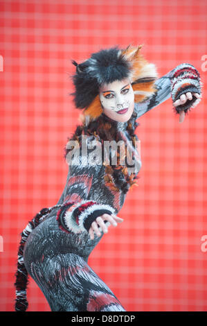 London, Regno Unito - 26 Maggio 2013: Emily Clapp vestito come electra da gatti in posa per una foto durante la London Comic Con 2013 a Excel di Londra. London Comic Con è il più grande del Regno Unito, manifestazione dedicata alla cultura pop attirano migliaia di artisti, celebrità e appassionati di fumetti, anime e memorabilia di film. Credito: Piero Cruciatti/Alamy Live News Foto Stock